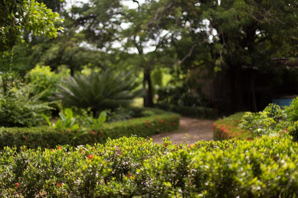 Garden Maintenance